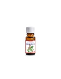 Olejek z drzewa różanego /Aniba Rosaeodora Oil/ 10 ml