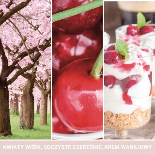 Yankee Candle - Pink Cherry & Vanilla wosk